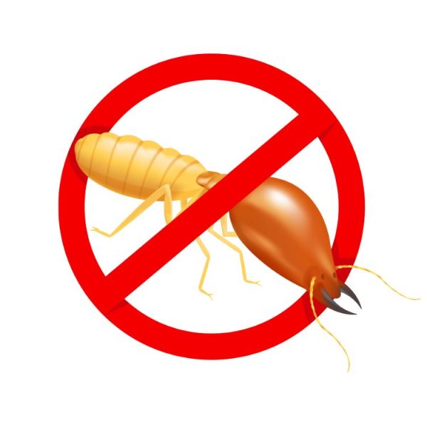 Entomologist Inspection